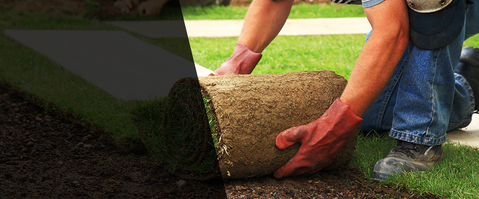 Red Oak Landscapers